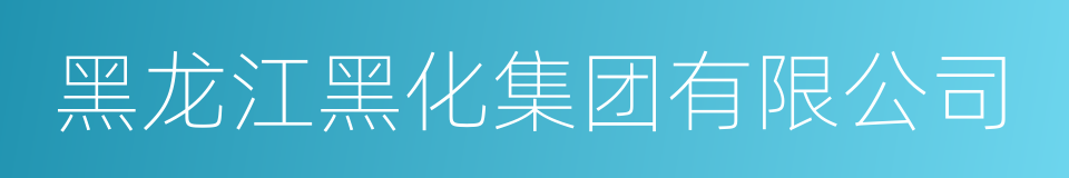 黑龙江黑化集团有限公司的同义词