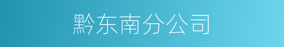 黔东南分公司的同义词