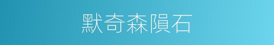 默奇森隕石的同義詞