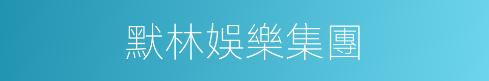 默林娛樂集團的同義詞