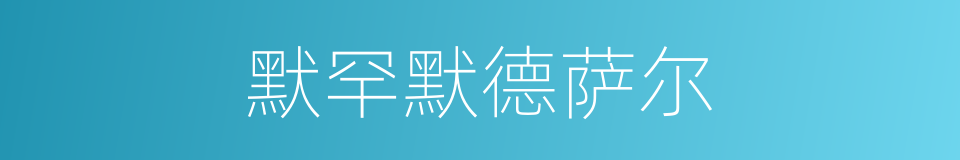 默罕默德萨尔的同义词
