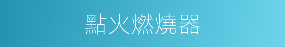 點火燃燒器的同義詞