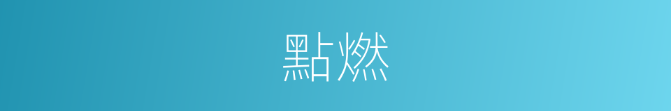 點燃的意思