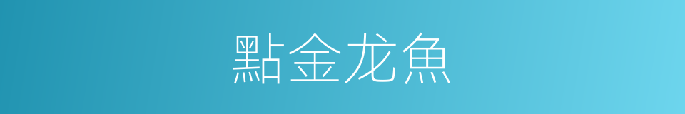 點金龙魚的同義詞
