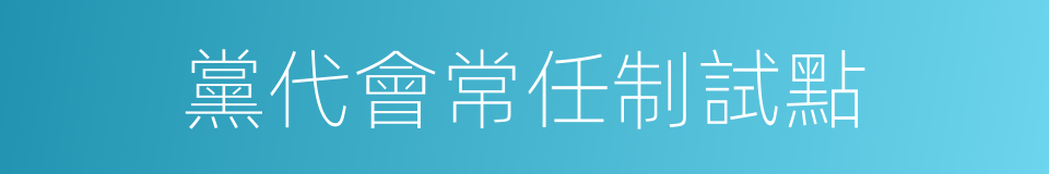 黨代會常任制試點的同義詞