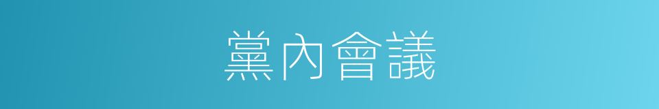 黨內會議的同義詞