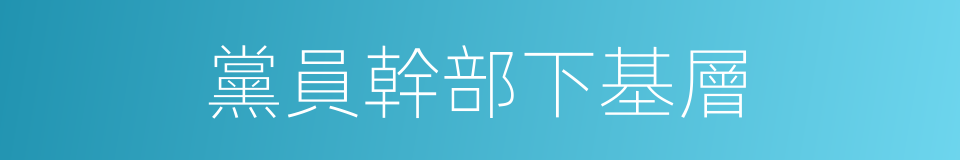 黨員幹部下基層的同義詞
