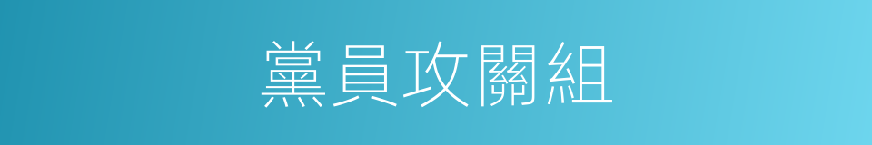 黨員攻關組的同義詞