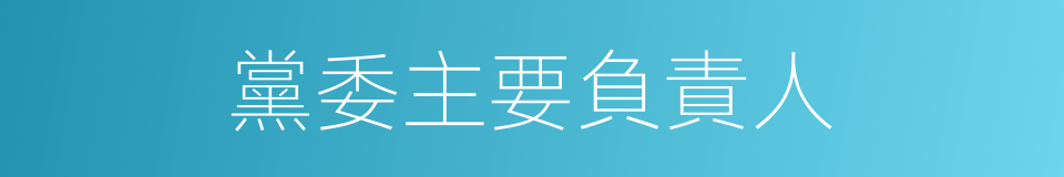 黨委主要負責人的同義詞