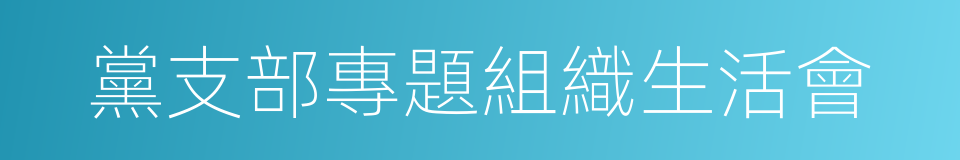 黨支部專題組織生活會的同義詞