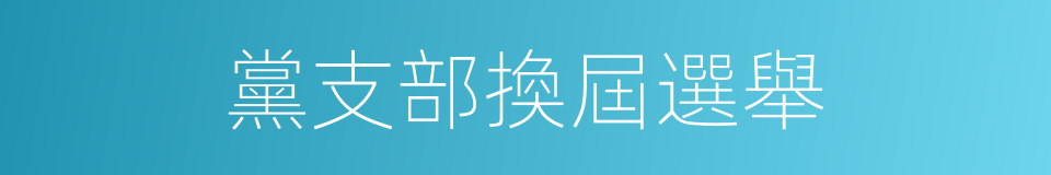 黨支部換屆選舉的同義詞