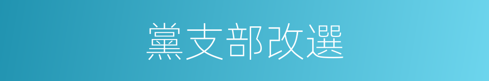 黨支部改選的同義詞