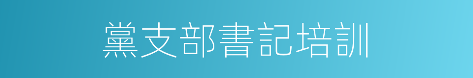 黨支部書記培訓的同義詞