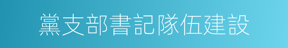 黨支部書記隊伍建設的同義詞