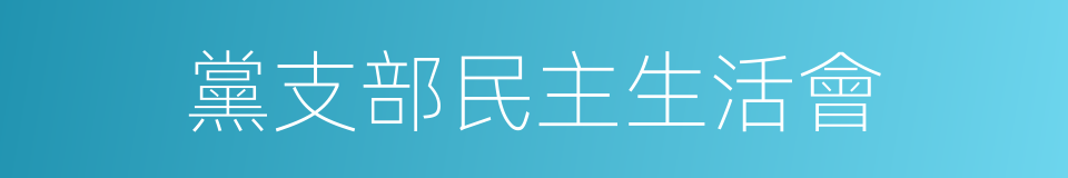 黨支部民主生活會的同義詞