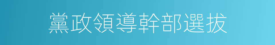 黨政領導幹部選拔的同義詞