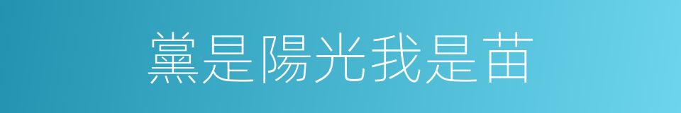 黨是陽光我是苗的同義詞