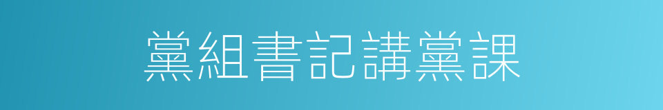 黨組書記講黨課的同義詞