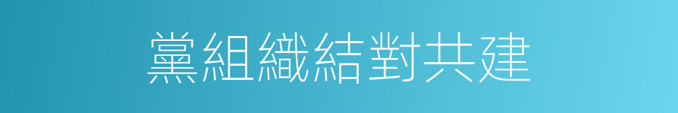 黨組織結對共建的同義詞