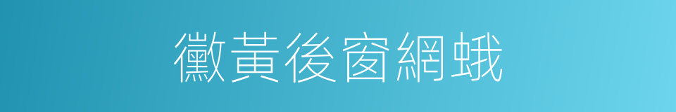 黴黃後窗網蛾的同義詞