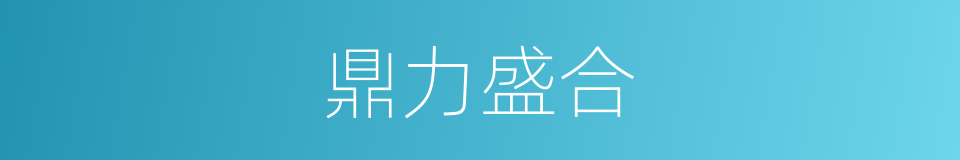 鼎力盛合的同义词