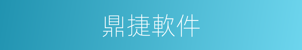 鼎捷軟件的同義詞