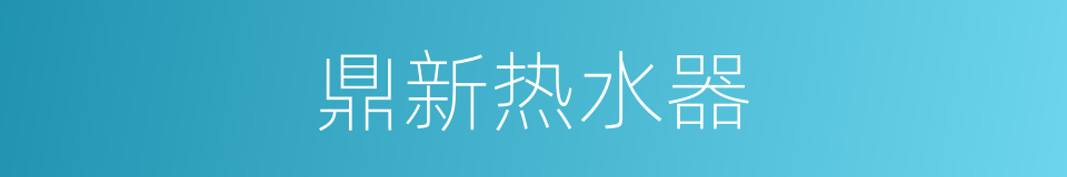 鼎新热水器的同义词