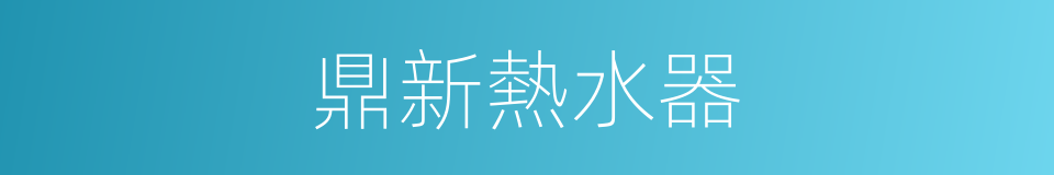 鼎新熱水器的同義詞