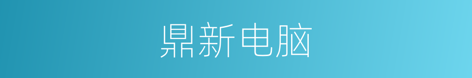 鼎新电脑的同义词