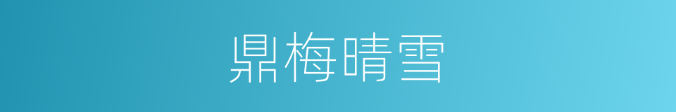 鼎梅晴雪的同义词