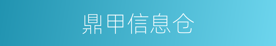 鼎甲信息仓的同义词