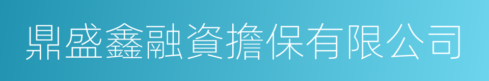 鼎盛鑫融資擔保有限公司的同義詞