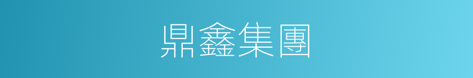 鼎鑫集團的同義詞