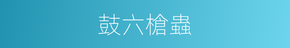 鼓六槍蟲的同義詞