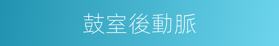 鼓室後動脈的同義詞