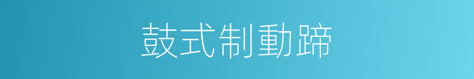 鼓式制動蹄的同義詞