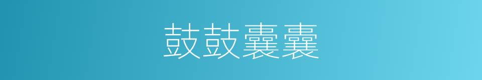 鼓鼓囊囊的意思