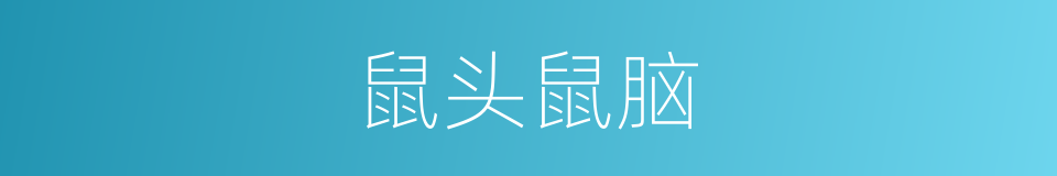 鼠头鼠脑的意思