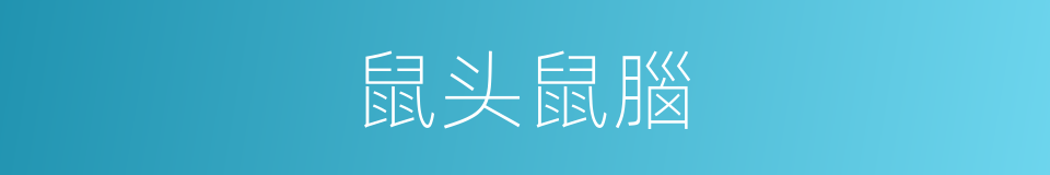 鼠头鼠腦的同義詞