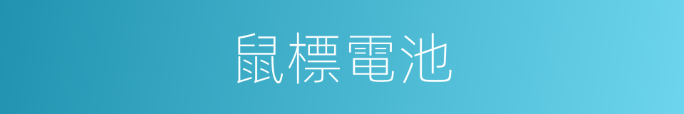 鼠標電池的同義詞