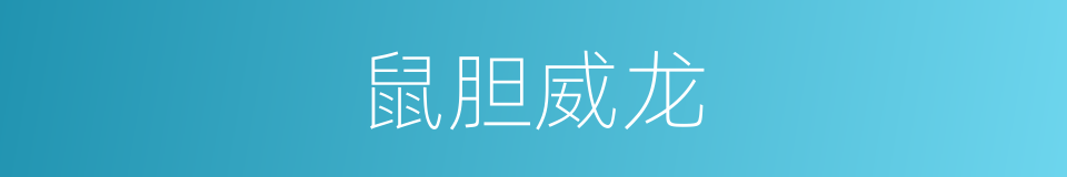 鼠胆威龙的同义词