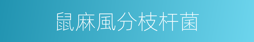 鼠麻風分枝杆菌的同義詞