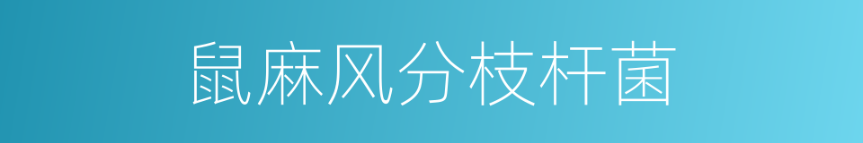 鼠麻风分枝杆菌的同义词