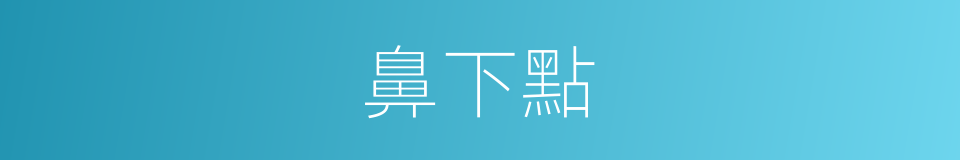 鼻下點的同義詞