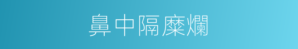 鼻中隔糜爛的同義詞