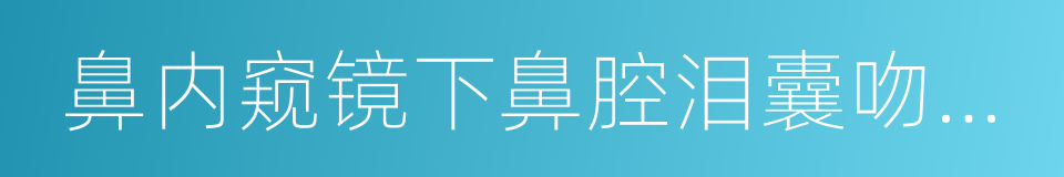 鼻内窥镜下鼻腔泪囊吻合术的同义词