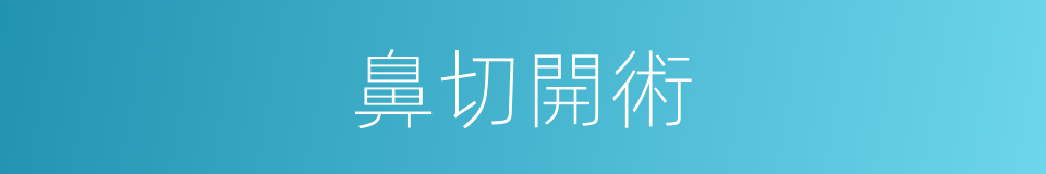 鼻切開術的同義詞