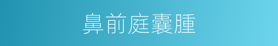 鼻前庭囊腫的同義詞