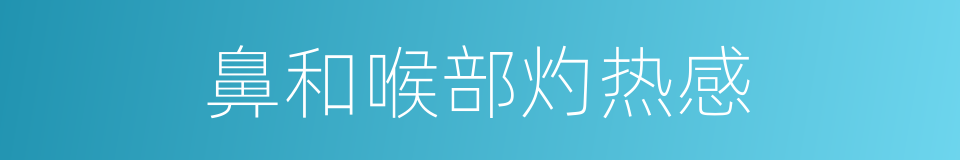 鼻和喉部灼热感的同义词