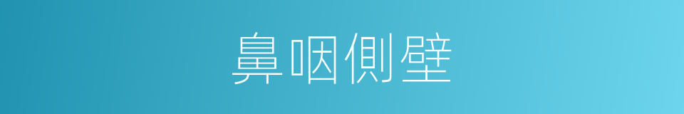 鼻咽側壁的同義詞